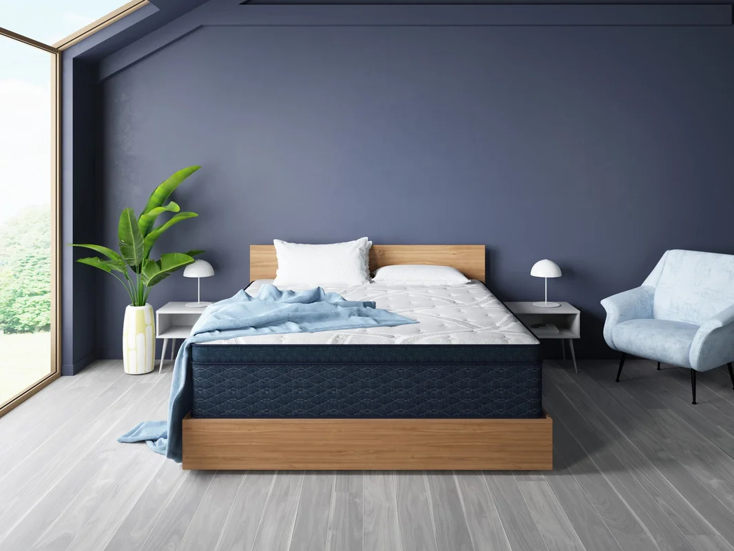 dreameehome1154499