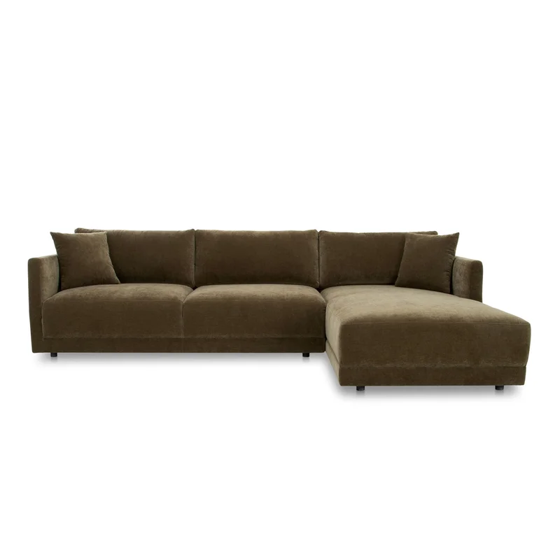 dreameehome12309619