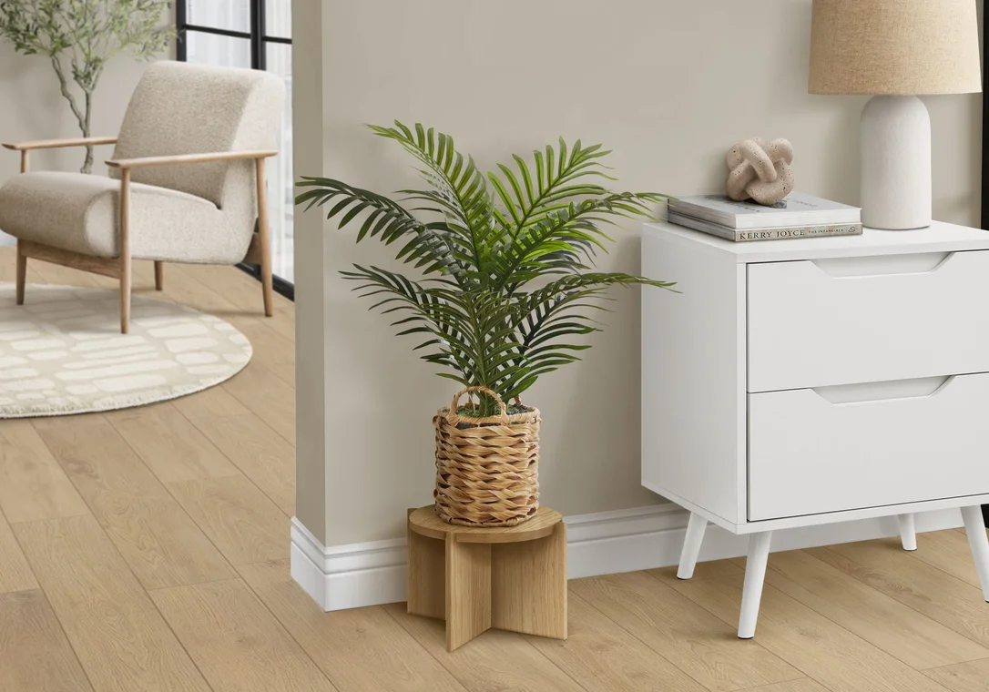 dreameehome12351695