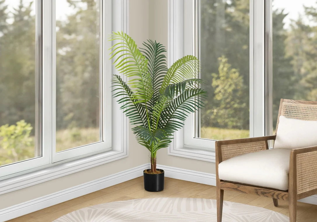 dreameehome12351837