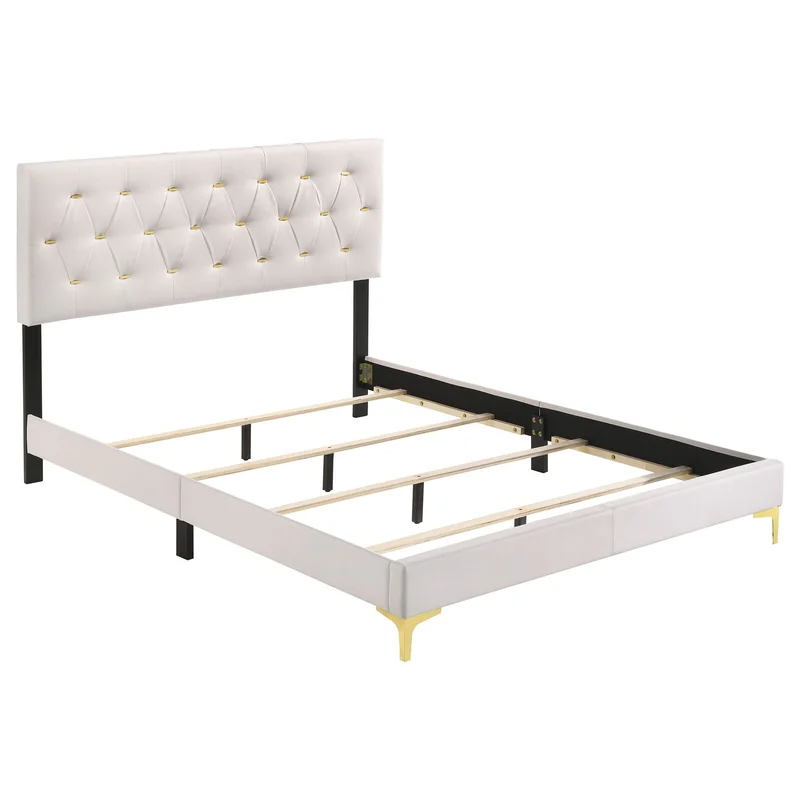 dreameehome3146811