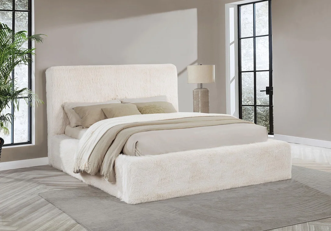 dreameehome3235783