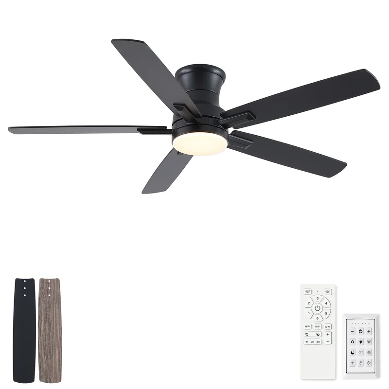 dreameehome4218429