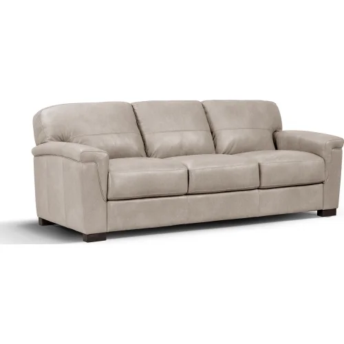 dynamichomedecor-77800