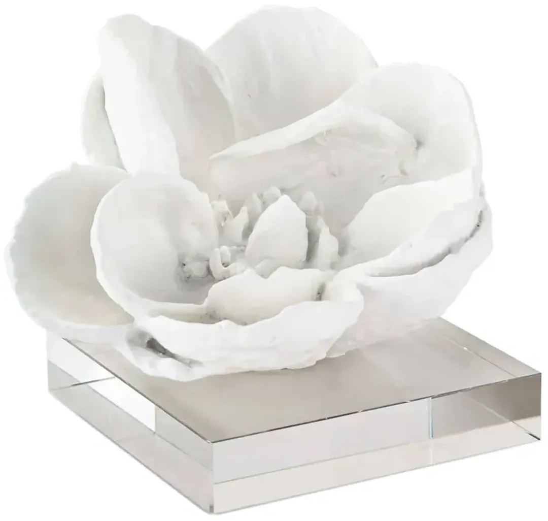 furniture3-299299