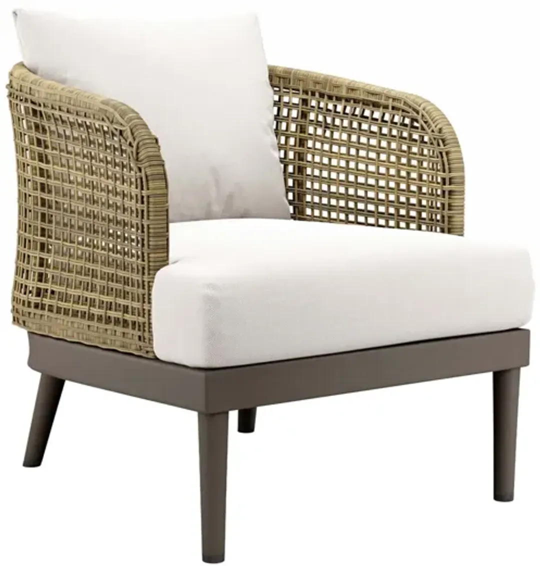 furniture3-324851