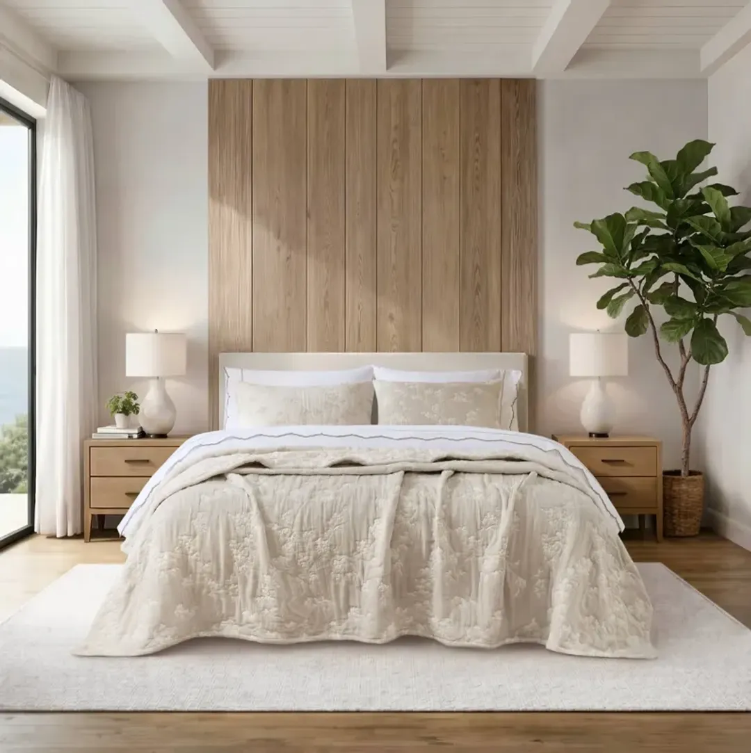 furniture4-471554