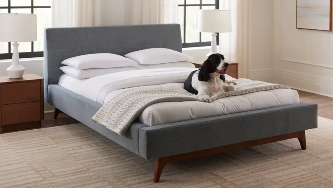 furniture4-490981