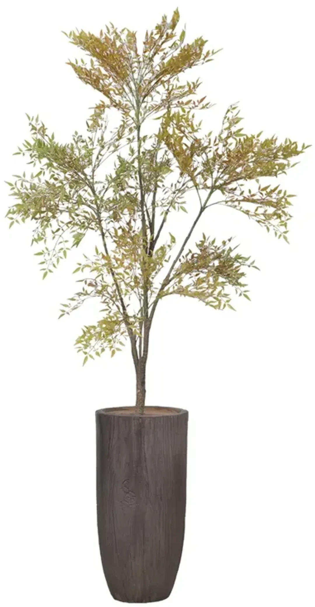 furniture4-528412