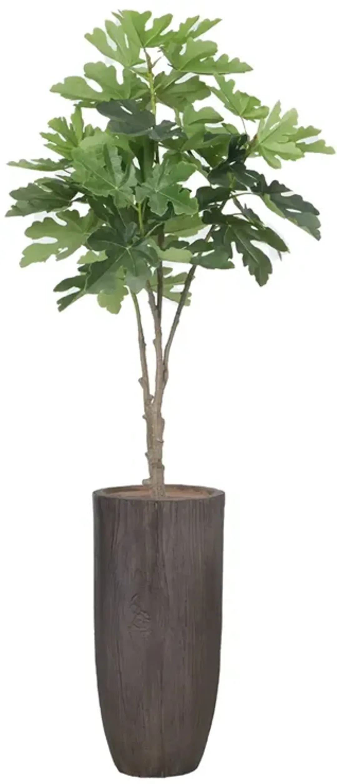 furniture4-534819
