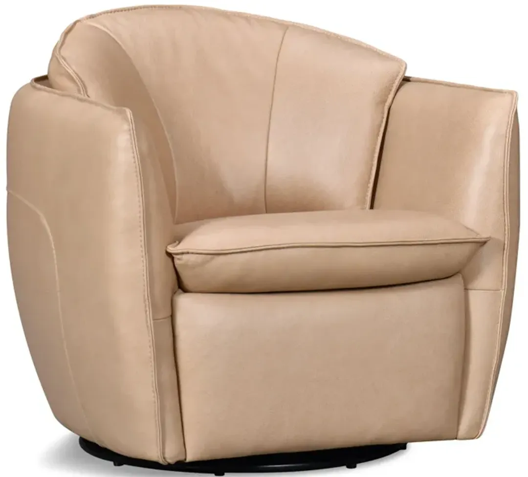 furniture6-427927