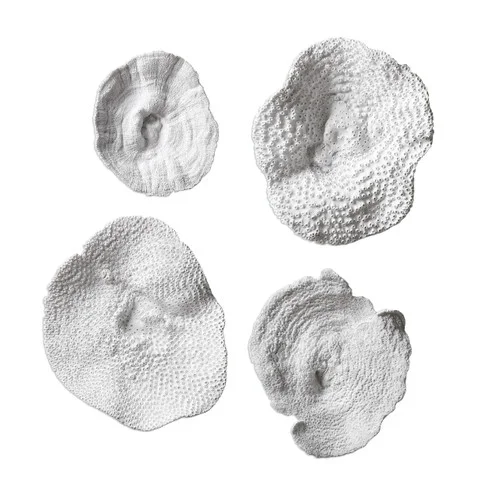 studiolx1-132816