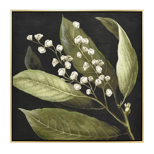 studiolx11-410533
