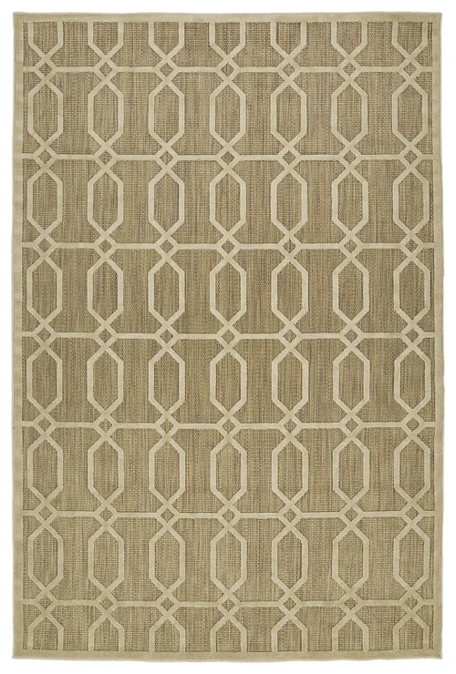 studiolx2-53590