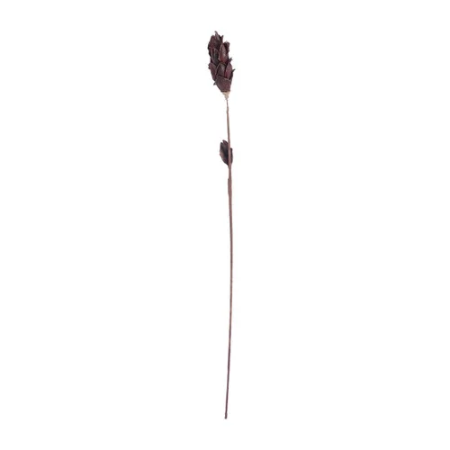 studiolx3-60646