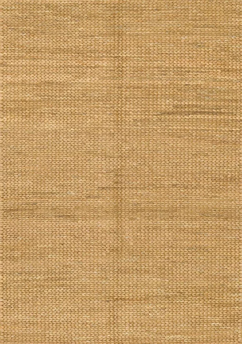 studiolx5-145413