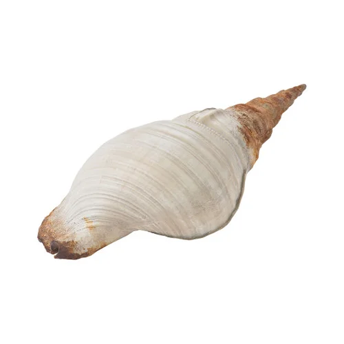 studiolx6-464071